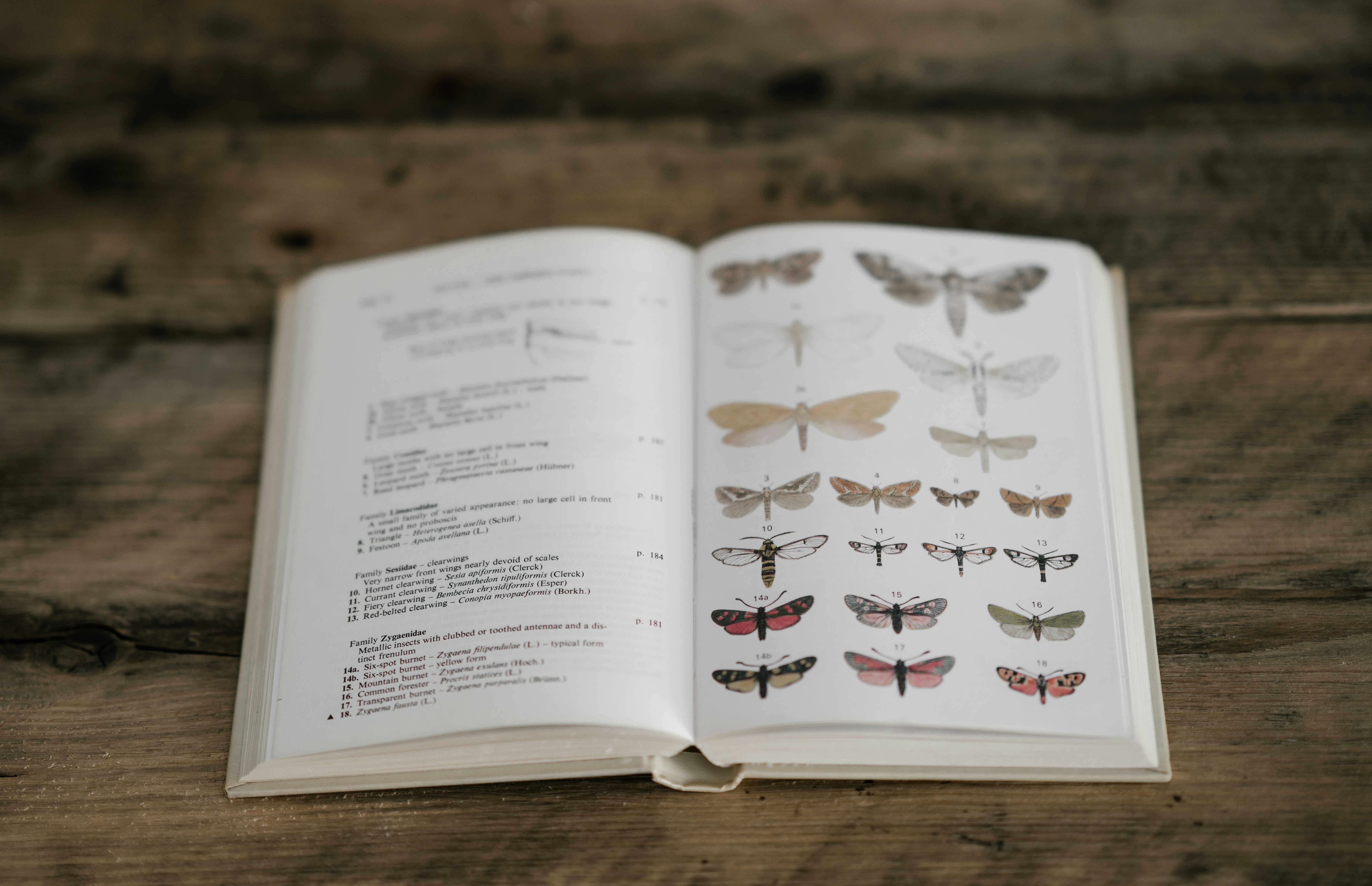 annie-spratt-vpFiAD-WWEs-unsplash