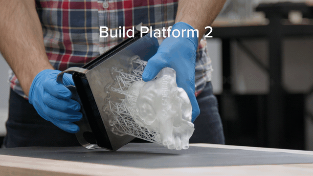 Form-3-plus-Build-Platform-2-1