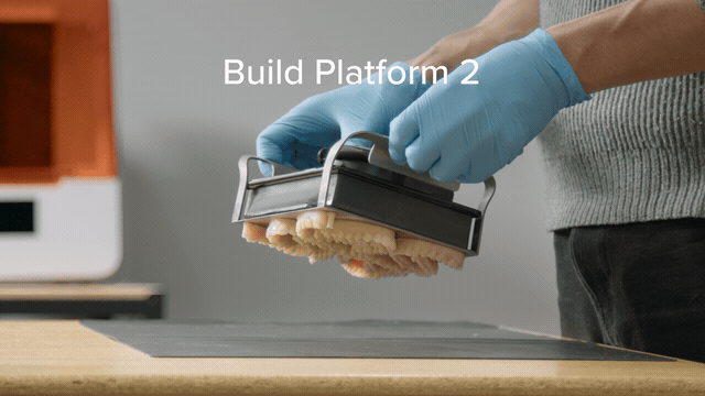 Form-3B-plus-Build-Platform-2