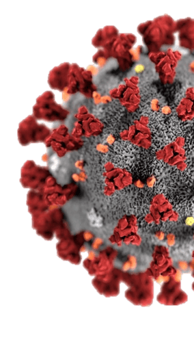 corona virus