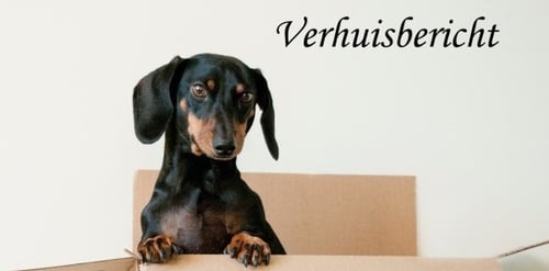 verhuis bericht