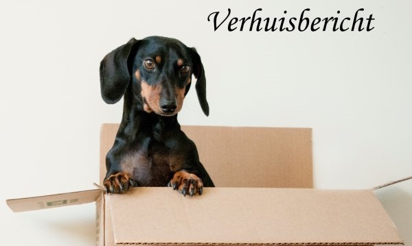 Verhuisbericht - kopie-1