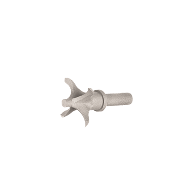 Shank