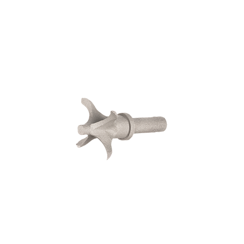 Shank